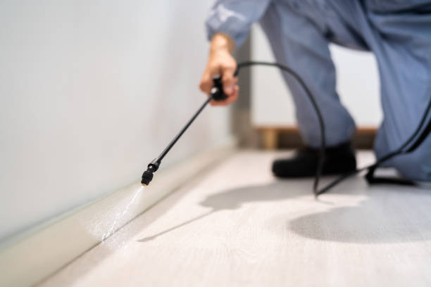Licensed Termite Control service in Haworth, NJ - Nex Pest Control