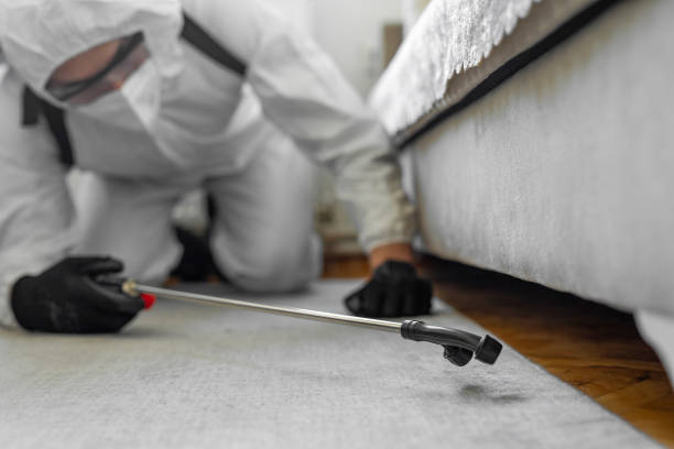 Professional Termite Control technician working in Haworth, NJ