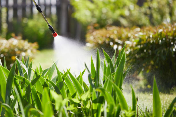 24/7 Emergency Termite Control experts in Haworth, NJ