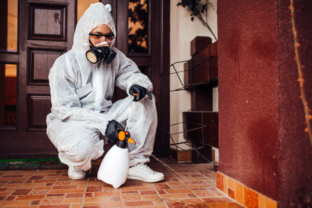 Reliable Termite Control contractor in Haworth, NJ by Nex Pest Control