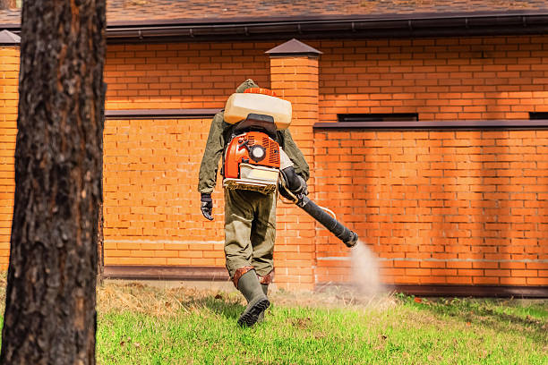Trusted Termite Control service in Haworth, NJ - Nex Pest Control